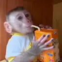 ملصق