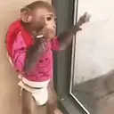ملصق