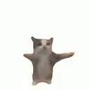 ملصق