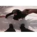 ملصق