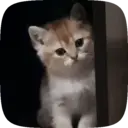 Çıkartma