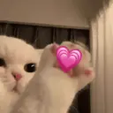 ملصق