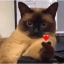 ملصق