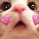 ملصق