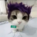 Figurinha