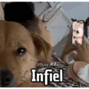 Çıkartma