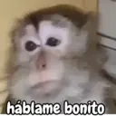 Stika