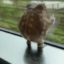 Стикер