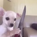 Figurinha