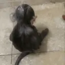Çıkartma