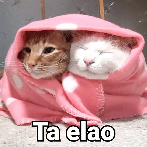 Límmiði