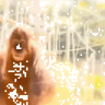 贴纸