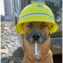 Çıkartma