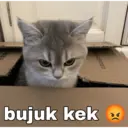 Nhãn dán