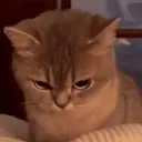 Nhãn dán