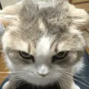 Nhãn dán