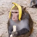 اسٹیکر