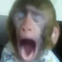 اسٹیکر