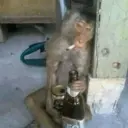 اسٹیکر
