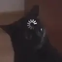 ملصق