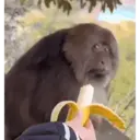 Çıkartma