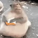 Çıkartma