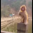 Çıkartma