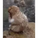 Çıkartma