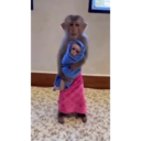 Çıkartma