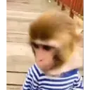 Çıkartma