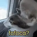 ملصق