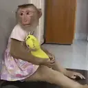 Çıkartma