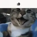 ملصق