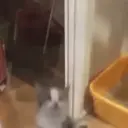 ملصق
