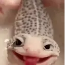 ملصق