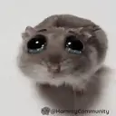 ملصق