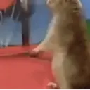 ملصق