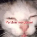 贴纸