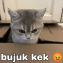 Nhãn dán