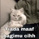 Nhãn dán