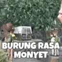 Stiker