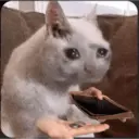 Figurinha