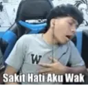 Stiker