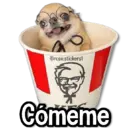 Figurinha