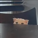 Çıkartma