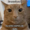 Figurinha