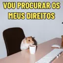 Figurinha