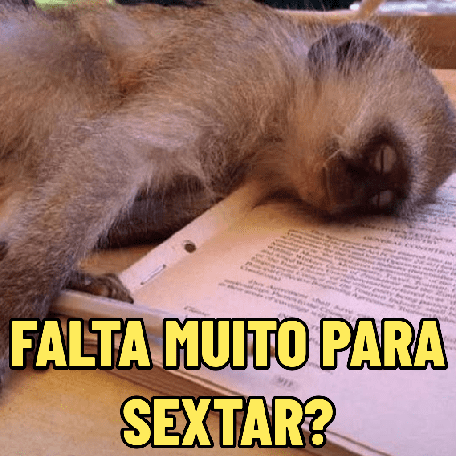 Figurinha