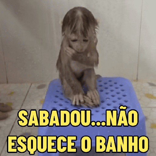 Figurinha