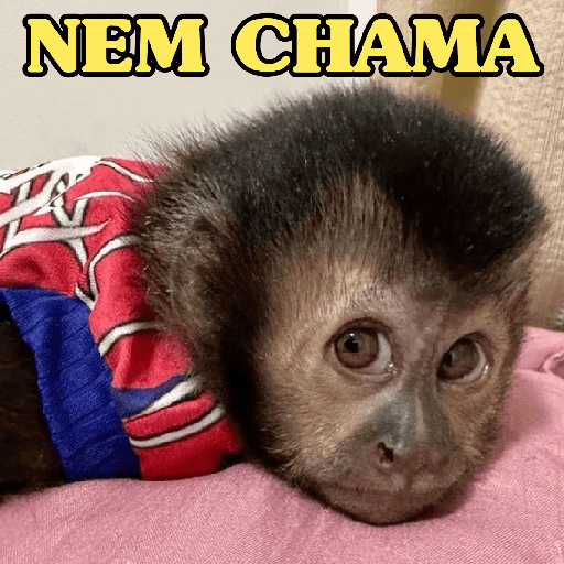 Figurinha
